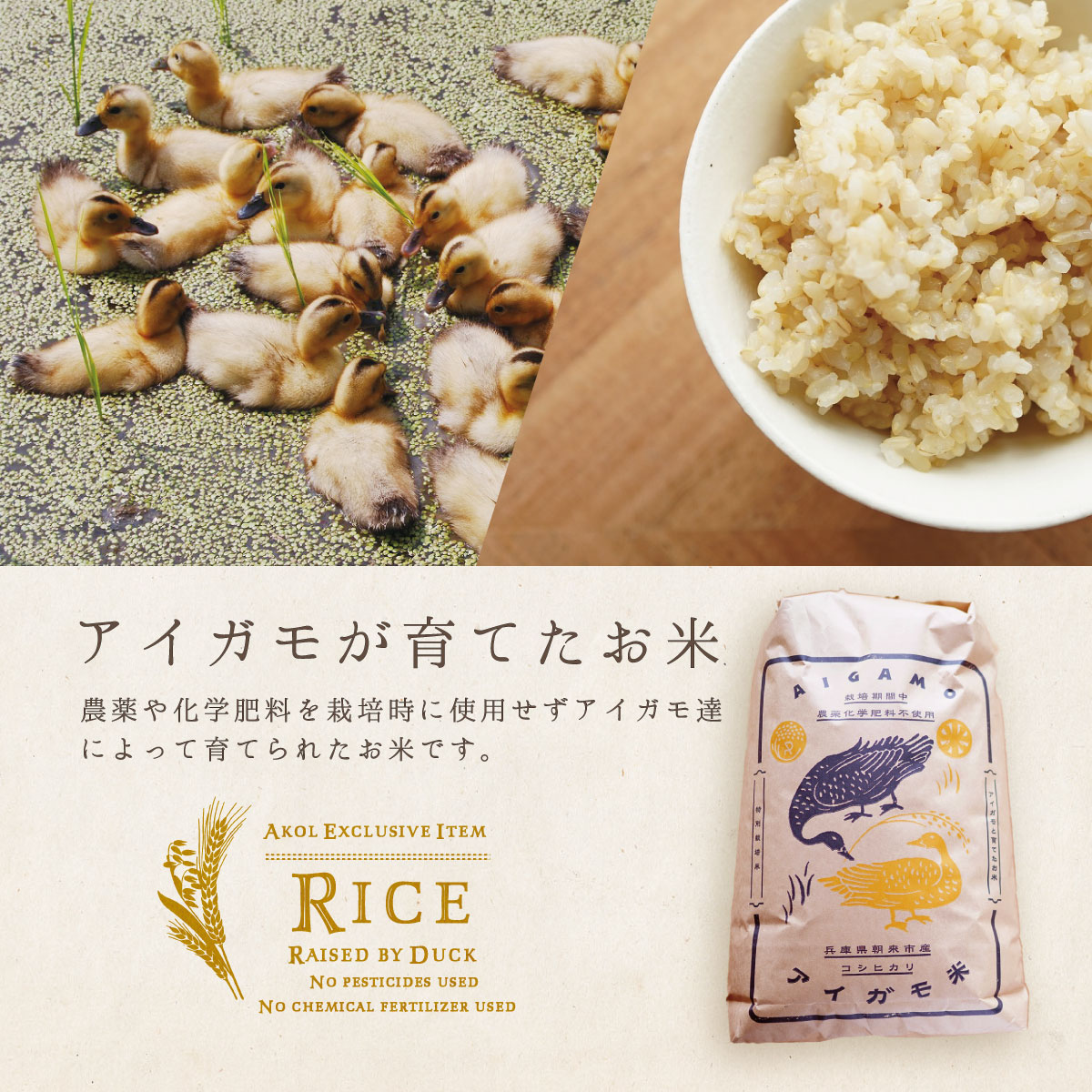 玄米30kg はえぬき ピロール アイガモ