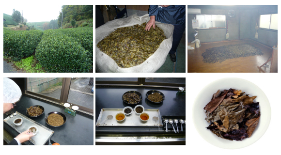 京都で古くから親しまれる「京番茶」