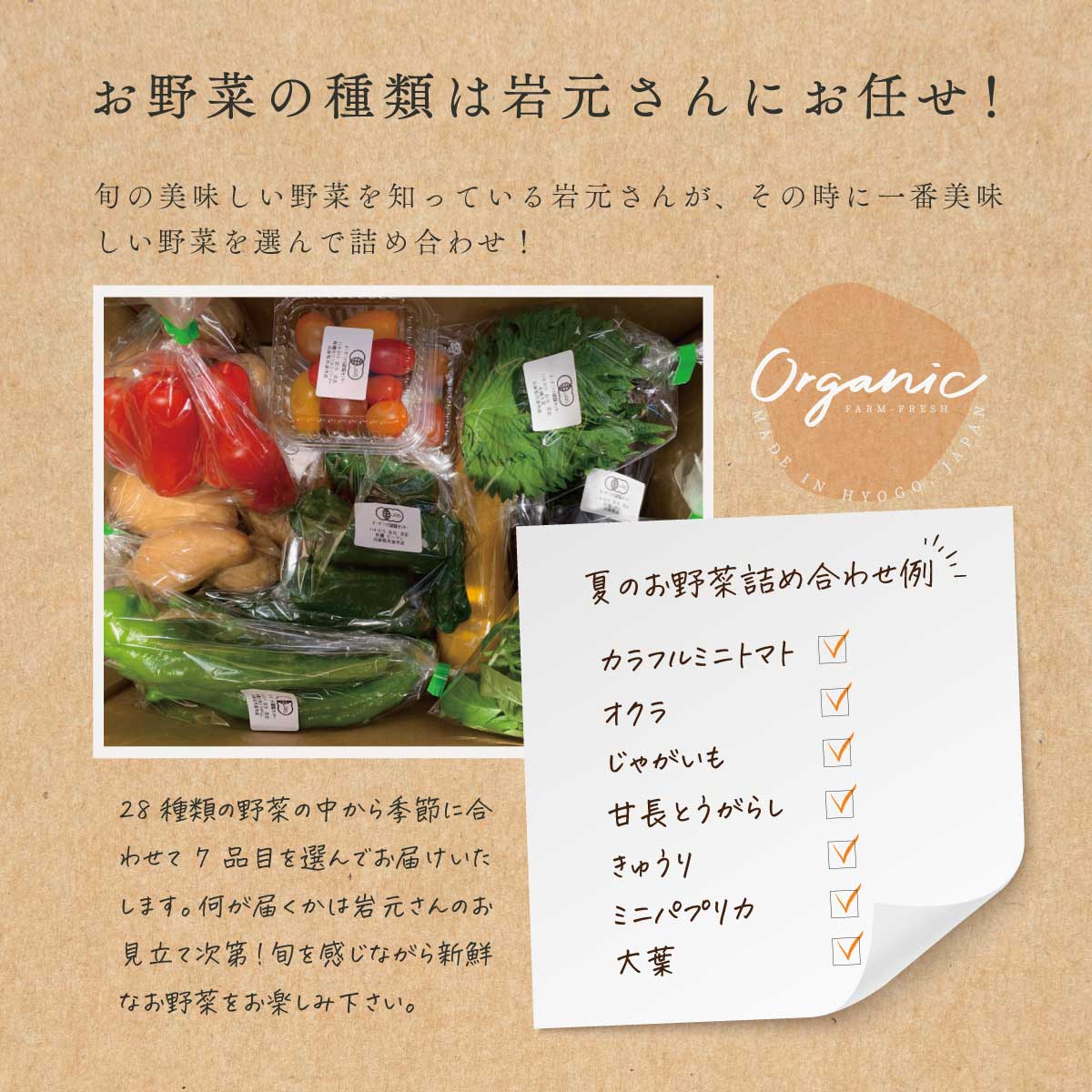 アコールショップ　兵庫県産・安心ブランド　農薬や化学肥料を使用していないコシヒカリ　有機野菜セット　7品目