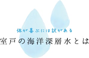 体が喜ぶには訳がある 室戸の海洋深層水とは