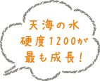 天海の水 硬度1200が 最も成長！