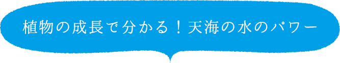 植物の成長で分かる！天海の水のパワー